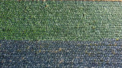 Kupus raste na navodnjavanom polju, snimak dronom. Poljoprivreda. Zelene glavice kupusa.