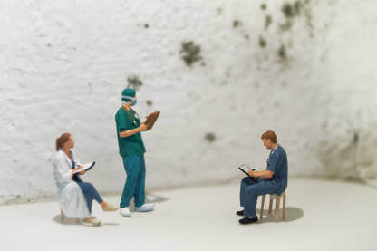 Vlaga u kući, plijesan na zidovima i figurice doktrora.