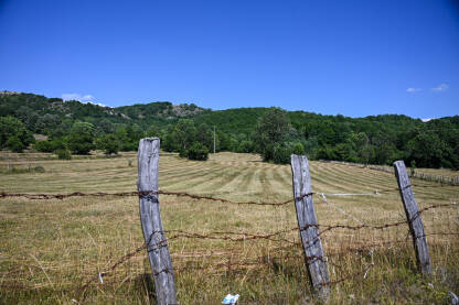 Svježe pokošena travnata livada u ruralnom krajoliku pod vedrim plavim nebom. Istrošeni drveni stubovi ograde sa zahrđalom bodljikavom žicom u prvom planu. Seoski krajolik.