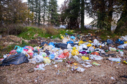 Divlja deponija smeća u prirodi. Ljudi ostavljaju smeće u šumi. Ekologija.