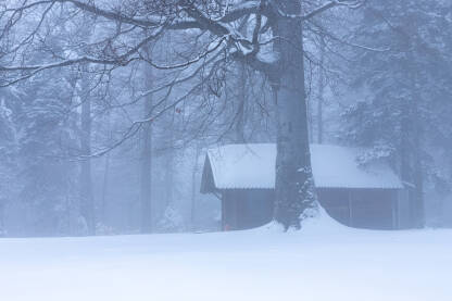 Planinska koliba u magli i snijegu
