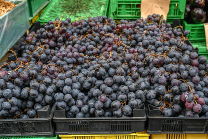 Ukusno i svježe grožđe na prodaju na pijac. Kutije pune grožđa u trgovini, krupni plan. Grožđe na štandu u piljari. Voće,