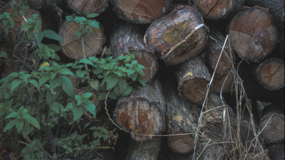 Slika složenih drva za ogrev.