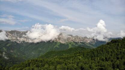 Panorama predjela prekrivenih šumom