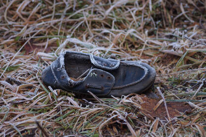 Zaleđena muška crna cipela na travi.