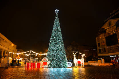 Okićeno drvo u centru grada noću. Šareni ukrasi i svjetla na zimzelenom drvetu.