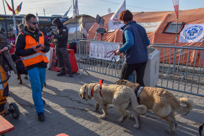 Izbjeglice iz Ukrajine sa svojim ljubimcima. Ljudi iz Ukrajine bježe od rata zajedno sa svojim psima. Ukrajinci na granici sa Poljskom.