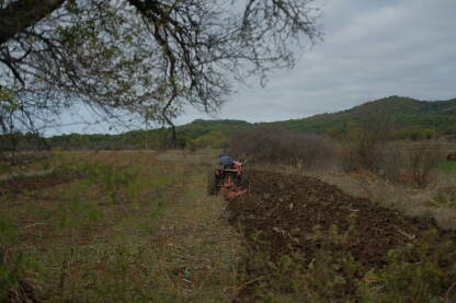 Poljoprivrednik obrađuje njivu.
