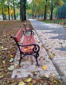 Drvene klupe i popločane staze u novom parku čekaju šetače. Jesen u parku.
Veliki park Ilidža