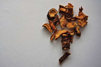 Biljka srčanik (Gentiana lutea) Biljka Srčanik,Lincura (lat. Gentiana lutea). Sušenje korijena. Korijen biljke je ljekovit, gorka okusa. Ubraja se u ljekovito bilje s gorkim tvarima (amara).