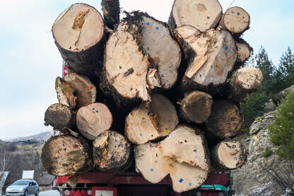 Kamion natovaren balvanima. Drvna industrija.