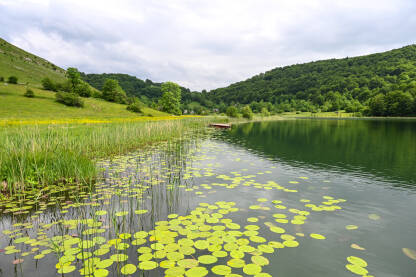 Prekrasno jezero na planini. Lokvanj na vodi. Uloško ili Crvanjsko jezero.