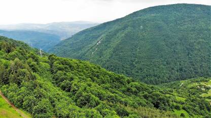 Panorama predjela prekrivenih šumom