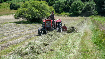 Čovjek na traktoru skuplja sijeno. Poljoprivrednik skuplja sijeno u polju. Prikupljanje sijena na livadi.