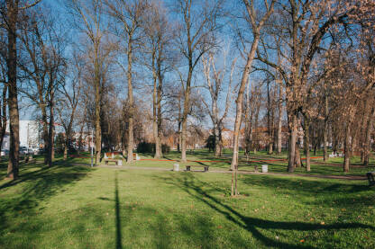 Gradski park u Brčkom, sunčan dan