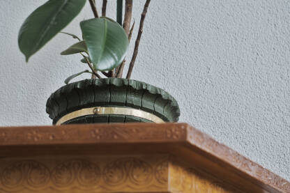 Vaza sa cvijećem fikusa na drvenom stolu