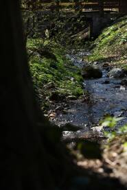 Voda tece u potoku, kamenje, drvo, cvece, trava, most