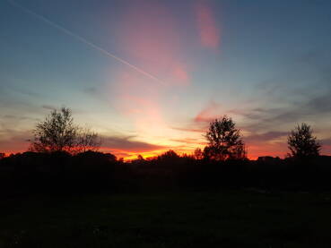 Vatrene boje na obzorju nakon zalaska Sunca; obrisi drveća i granja na horizontu u predvečerje; trag aviona na nebu.