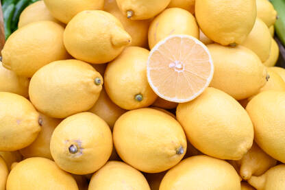 Svježi i ukusni limuni na prodaji na pijaci, krupni plan. Kutije pune limuna u radnji. Limun na štandu. Voće.