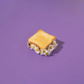 Tost sendvič s cvijećem tratinčice na ljubičastoj pozadini.