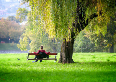 Kamberovića polje, Zenica
