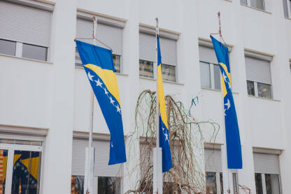 Tri zastave BiH na jarbolima ispred zgrade Vlade Brčko distrikta BiH