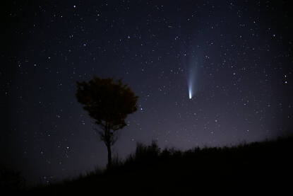 Neowise komet na nebu