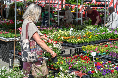 Žena bira cvijeće u cvjećari. Ljudi na pijaci u centru grada Ulma u Njemačkoj.