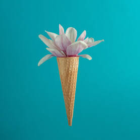 Cvijet magnolije u kornetu, Sladoled, baklja olimpijska, vatra - koncept
