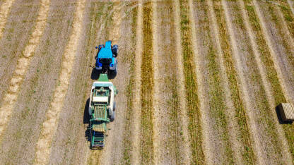 Traktor skuplja slamu u polju, snimak dronom. Traktor pravi bale sijena. Poljoprivreda.