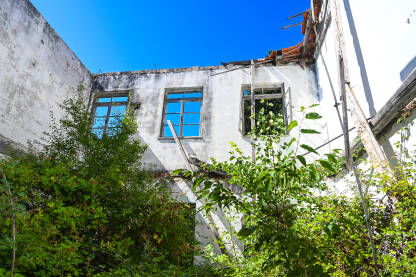 Srušena kuća u ratu. Kuća uništena i spaljena u ratu artiljerijom. Drvo raste unutar stare ruševine.