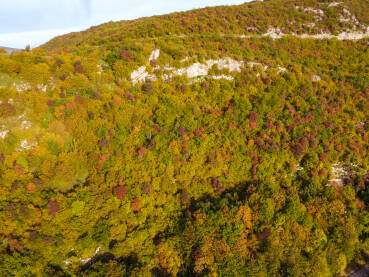 Boje jeseni. Šarena šuma na planinama u jesen.