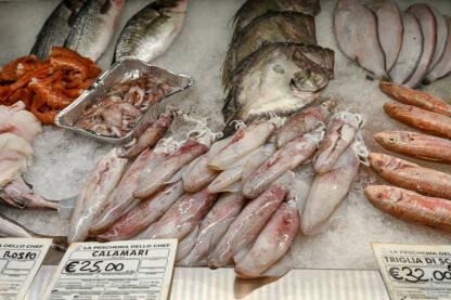 Svježa riba za prodaju na tržnici. Sirova riba, lignje i školjke