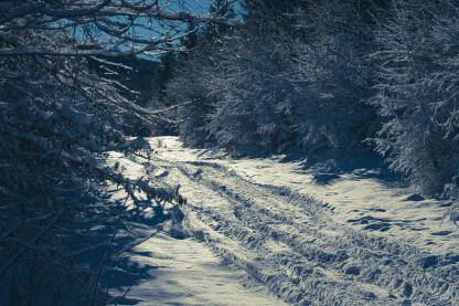 Uski seoski put u šumi, prekriven snijegom sa tragovima automobilskih guma