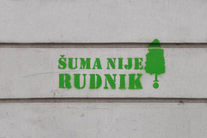 Nelegalne sječe šume Zeleni grafit na bijeloj fasadi "Šuma nije rudnik"