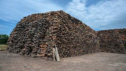 Mnogo balvana i trupaca u pilani. Drvna industrija i industrija namještaja. Hrpe ogrjevnog drva.