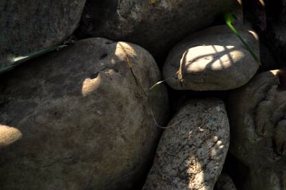 Priroda, kamenje.