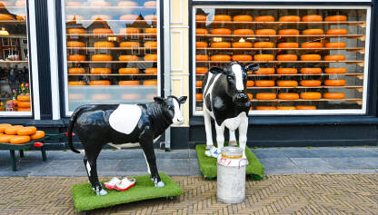 Prodavnica sira u Nizozemskoj.