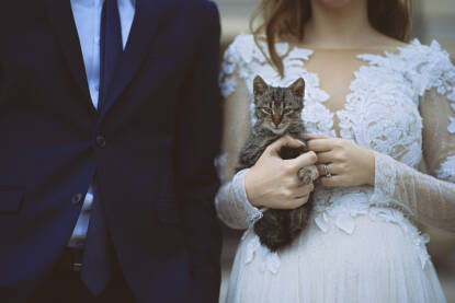 Mačka i ljudi - muž i žena