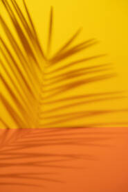 Sjena lista palme na svijetloj praznoj žutoj i narandžasoj podlozi.