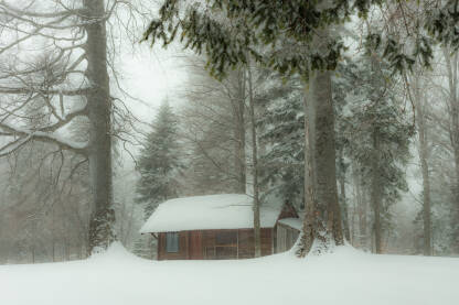 Drvena koliba u snijegu na ulazu u duboku šumu u parku prirode Tajan, Ponijeri, Kakanj.