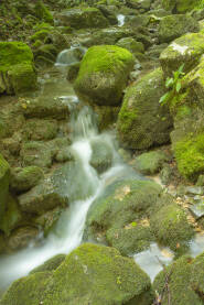 Planinski potok s kamenom obraslim mahovinom