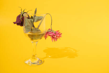 Dva cvijeta koji se suše u čaši vode na žutoj pozadini. Ljubav, ljubavni problemi i nesporazumi, koncept.