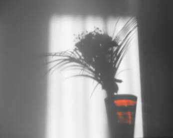 Silueta buketa cvijeća u crvenoj staklenoj vazni na prozoru.