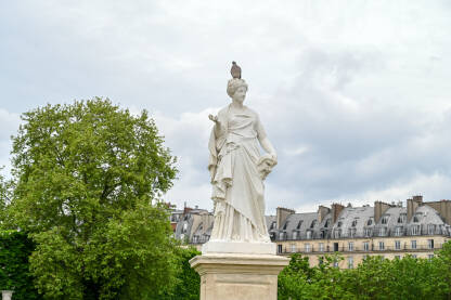 Pariz, Francuska: statua u gradskom parku. Golub na ženskom kipu. Vrt Tuileries. Tuileries Garden.
