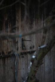 Stara drvena vrata na podrumu, sa metalnom bravom i katancem, fotografisana kroz grancice