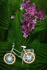 Metalni ukrasni bicikl ,latice cvijeća postavljene na lišću