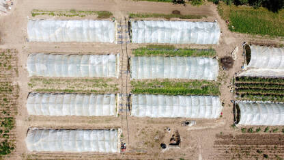 Plastenici u polju snimak dronom. Poljoprivreda.
