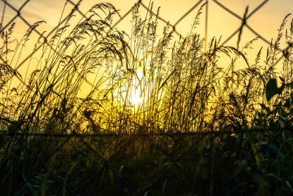 Pogled kroz žičanu ogradu