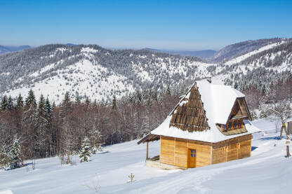 Zima na planini Tari. Prelep pogled na brda, borovu šumu i drvenu kuću koji su prekriveni belim snegom. Prelep zimski dan, sa vedrim plavim nebom.